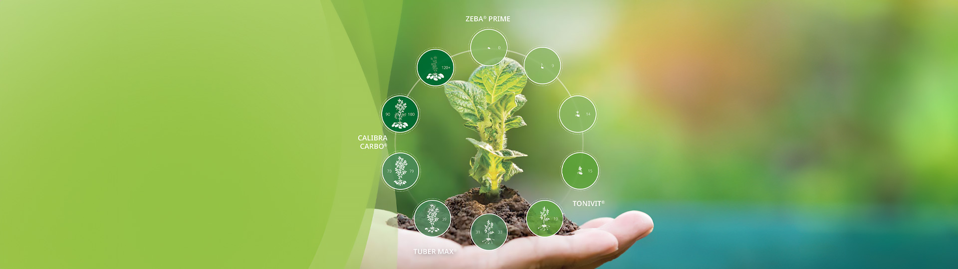 upl-header-zeba-prime